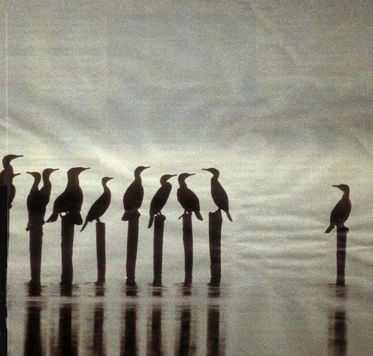 Diabete in età evolutiva