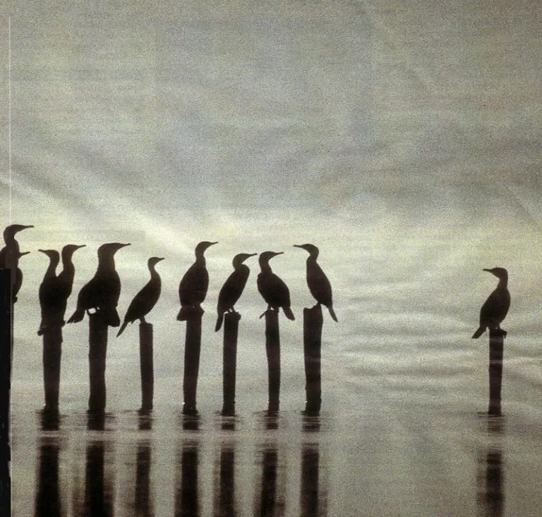 Diabete in età evolutiva